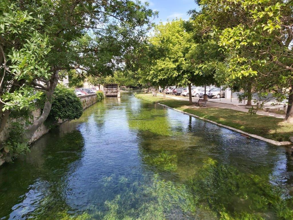 Вилла Gite Dans Les Pins Avec Piscine Мазан Экстерьер фото