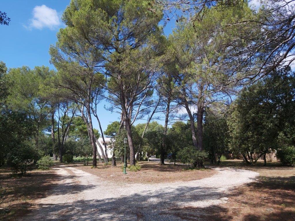 Вилла Gite Dans Les Pins Avec Piscine Мазан Экстерьер фото